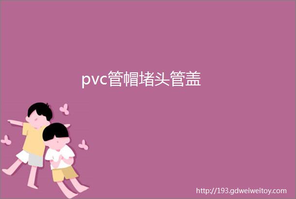 pvc管帽堵头管盖