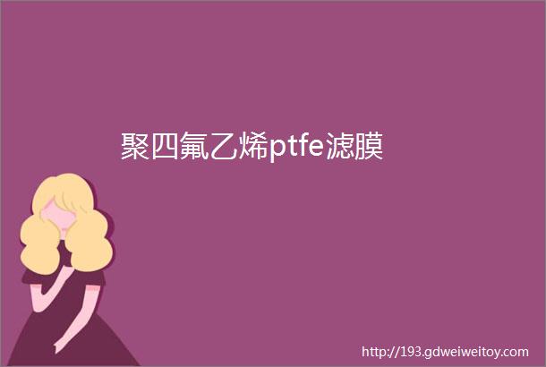 聚四氟乙烯ptfe滤膜